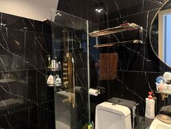 Le Reve (D14), Condominium #588206461